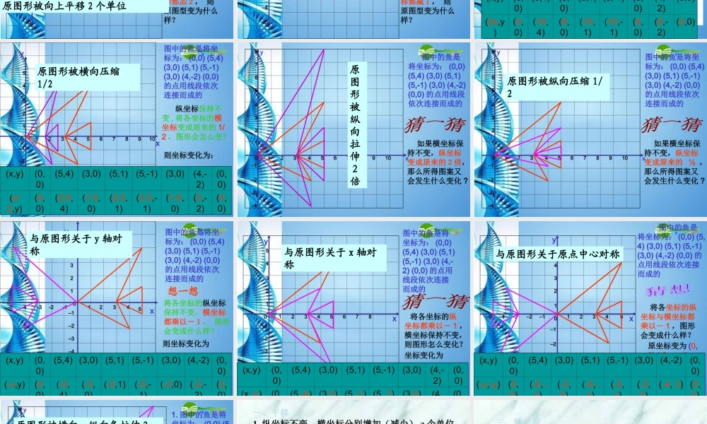 八年级数学上册(变化的鱼)课件 北师大版 课件