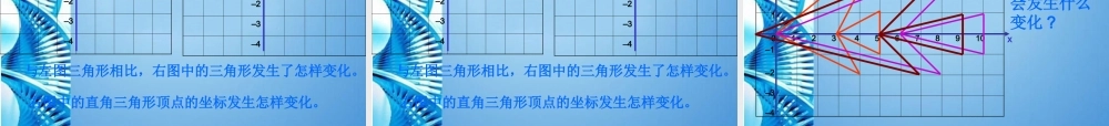 八年级数学上册(变化的鱼)课件 北师大版 课件