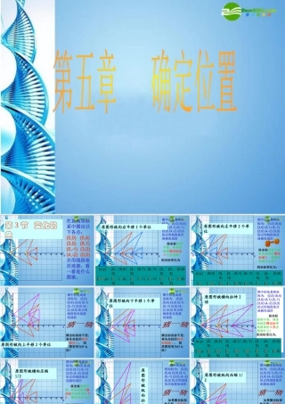 八年级数学上册(变化的鱼)课件 北师大版 课件
