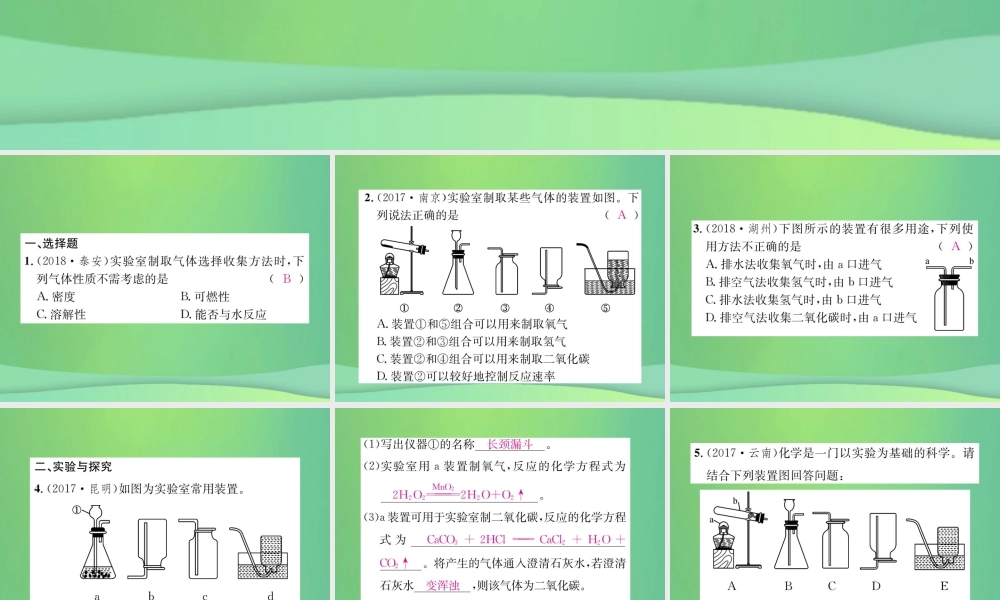 中考化学总复习 滚动小专题(三)气体的制取、净化与干燥课件
