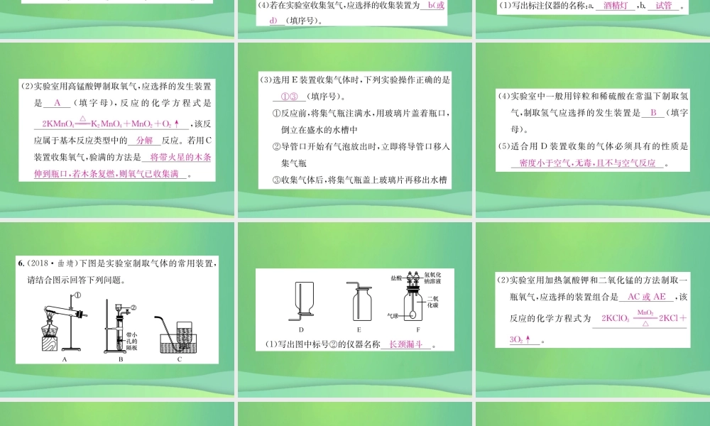 中考化学总复习 滚动小专题(三)气体的制取、净化与干燥课件