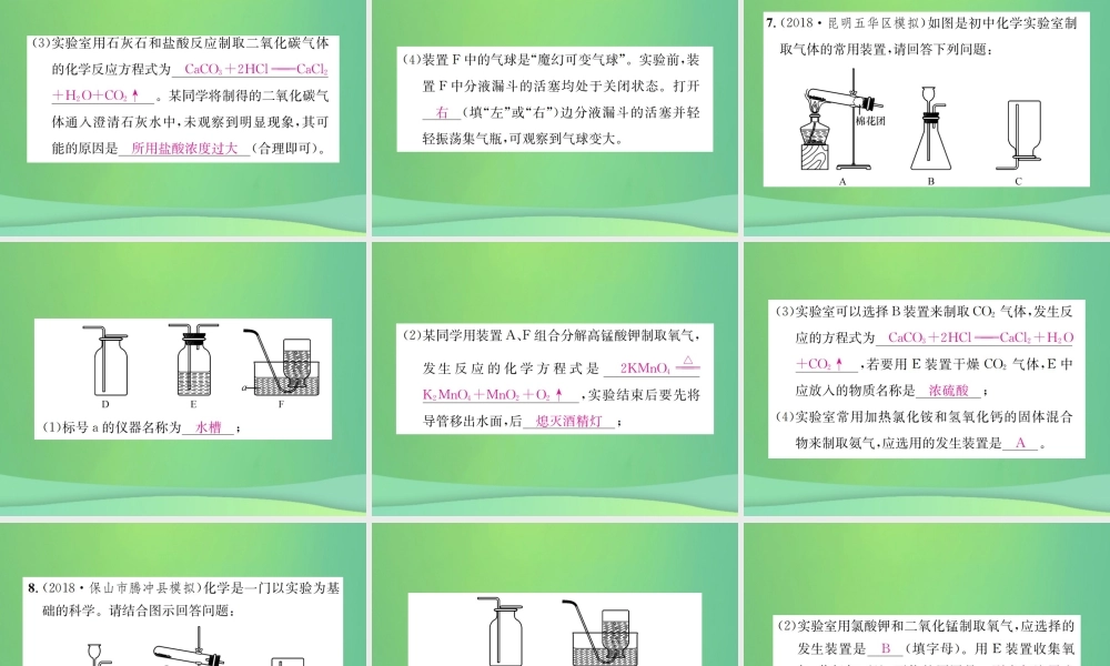 中考化学总复习 滚动小专题(三)气体的制取、净化与干燥课件