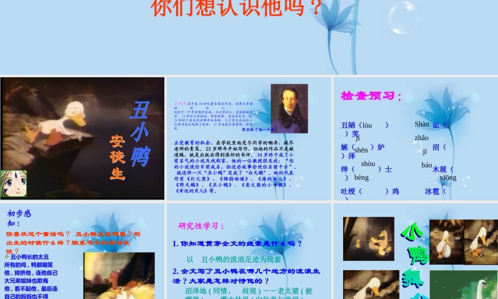 中学七年级语文下册(丑小鸭)课件 新人教版 课件