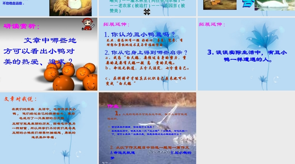 中学七年级语文下册(丑小鸭)课件 新人教版 课件