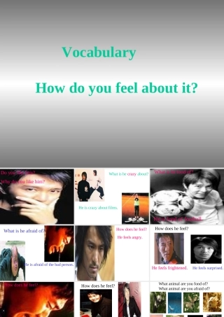 七年级英语下 Unit 4 Vocabulary牛津版 试题