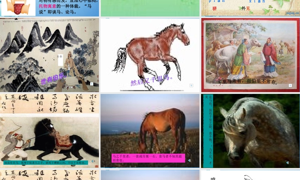 八年级语文下册(马说)课件 苏教版 课件