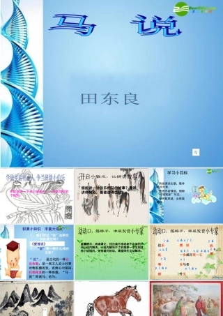 八年级语文下册(马说)课件 苏教版 课件