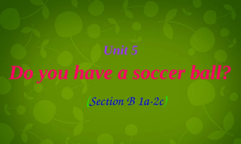 七年级英语上册 Unit 5 Do you have a soccer ball Section B课件 (新版)人教新目标版 课件