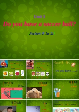 七年级英语上册 Unit 5 Do you have a soccer ball Section B课件 (新版)人教新目标版 课件