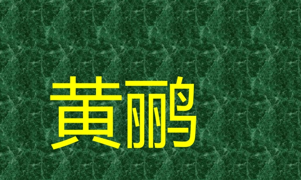 新教材高一语文黄莺 课件