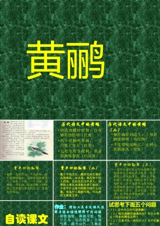 新教材高一语文黄莺 课件