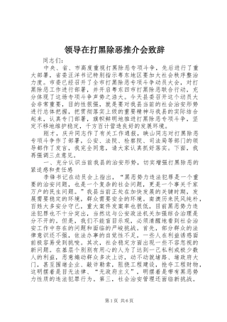 领导在打黑除恶推介会致辞