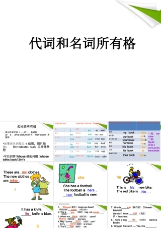七年级英语上册 代词和名词所有格课件 仁爱版 课件