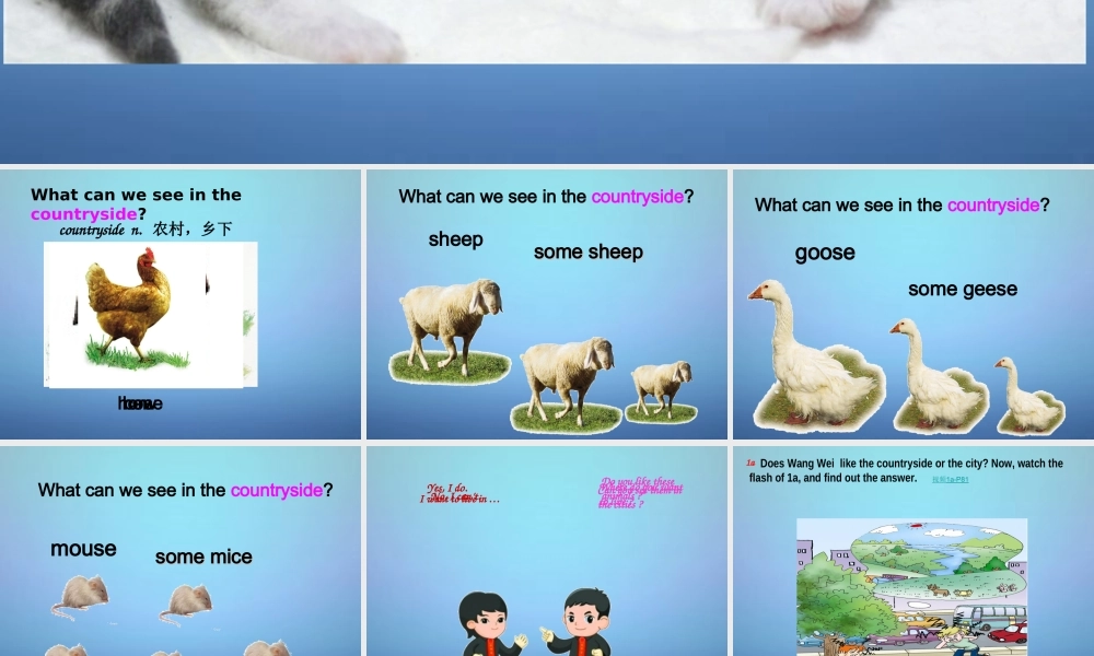 八年级英语上册 Unit 4 Topic 1 What's the strongest animal on the farm Section A课件 (新版)仁爱版 课件