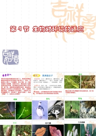 七年级生物上：第1章第4节 生物对环境的适应 课件苏科版 课件