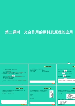 七年级生物上册 2.1.3 绿色植物的光合作用(第2课时 光合作用的原料及原理的应用)课件 (新版)济南版 课件