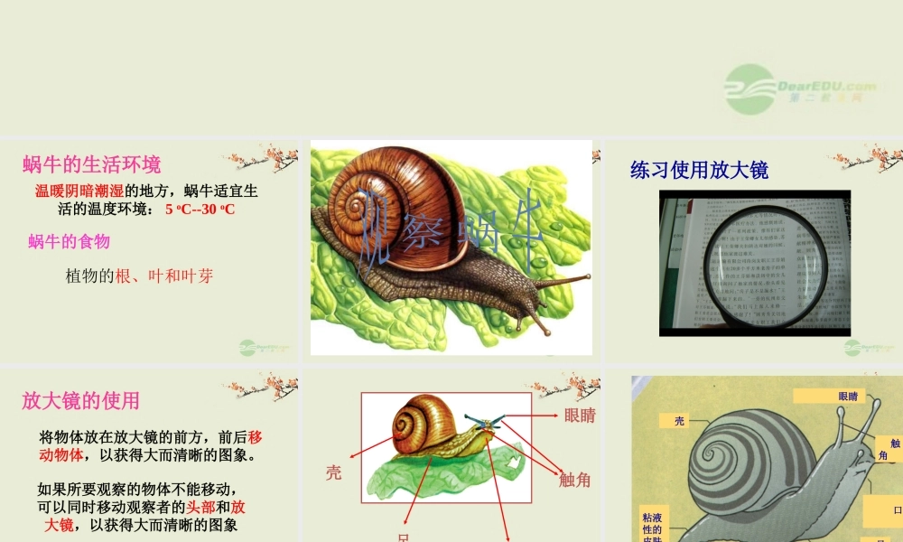 七年级科学上册 第2章 观察生物 第1节 生物与非生物课件 浙教版 课件