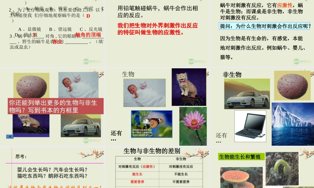 七年级科学上册 第2章 观察生物 第1节 生物与非生物课件 浙教版 课件