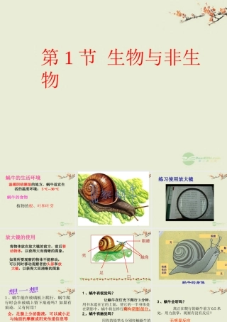 七年级科学上册 第2章 观察生物 第1节 生物与非生物课件 浙教版 课件