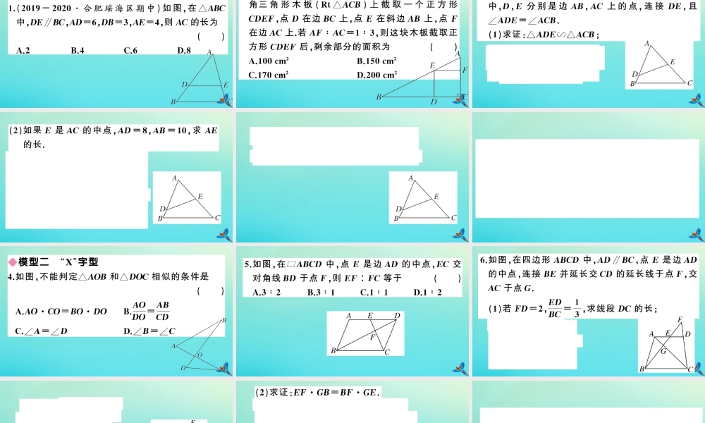 九年级数学上册 第22章 相似形 模型构建专题：相似三角形的基本模型作业课件 (新版)沪科版 课件