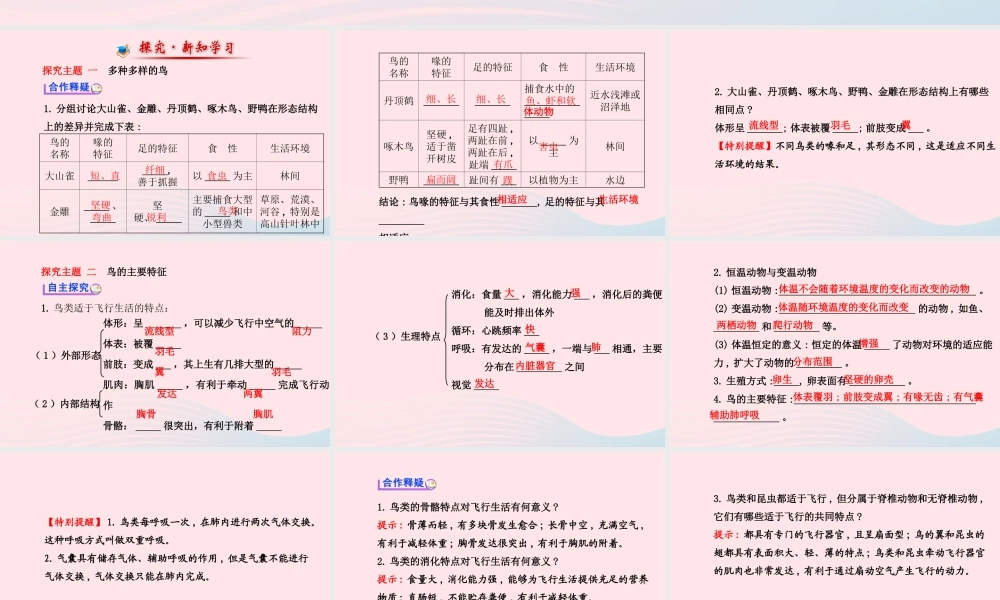 八年级生物上册 第五单元 第一章 第六节 鸟课件 (新版)新人教版 课件