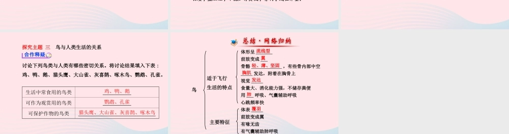 八年级生物上册 第五单元 第一章 第六节 鸟课件 (新版)新人教版 课件