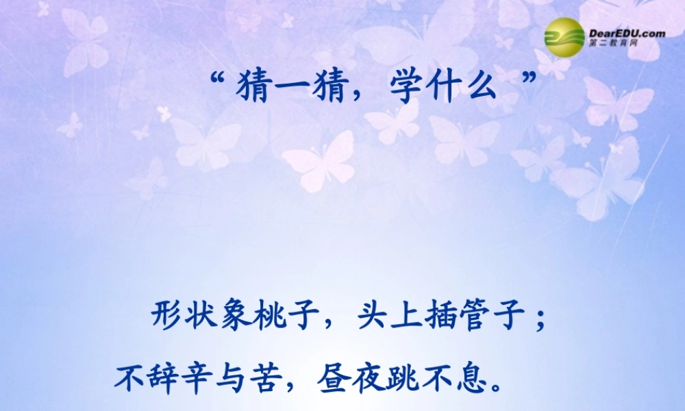 八年级生物上册 第四章 心脏课件 鲁科版 课件