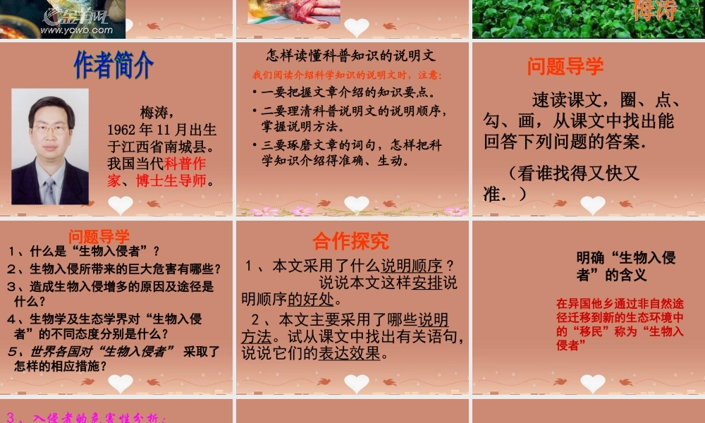 中学八年级语文上册 19 生物入侵者课件 新人教版 课件