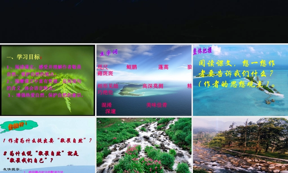 八年级语文下册 (敬畏自然)课件 人教新目标版 课件