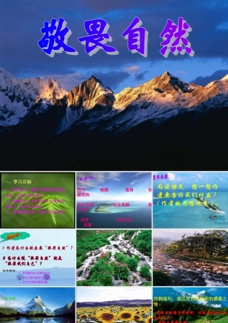 八年级语文下册 (敬畏自然)课件 人教新目标版 课件