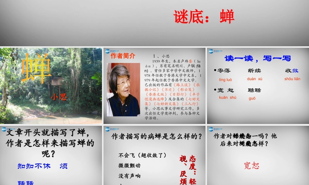 中学七年级语文上册 18(短文两篇)蝉课件 (新版)新人教版