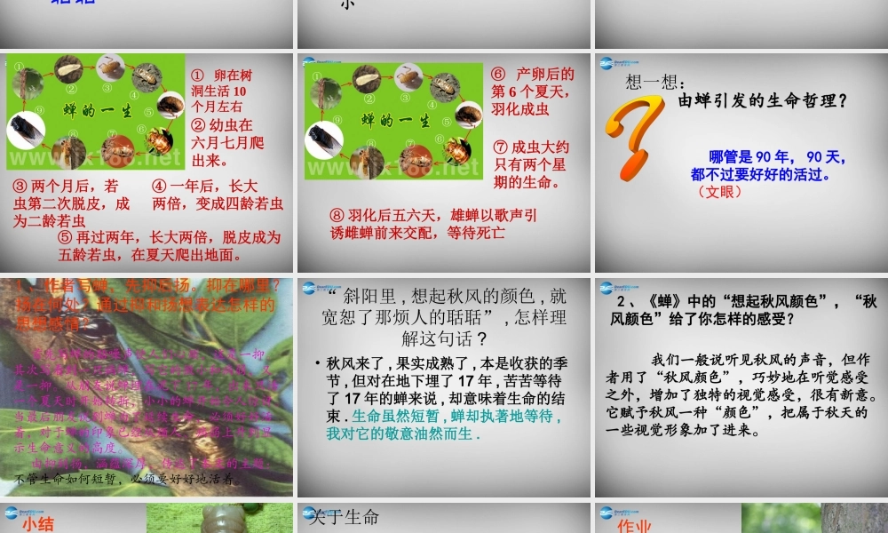 中学七年级语文上册 18(短文两篇)蝉课件 (新版)新人教版