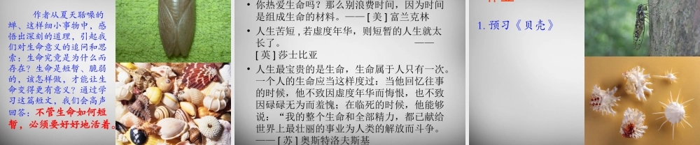 中学七年级语文上册 18(短文两篇)蝉课件 (新版)新人教版