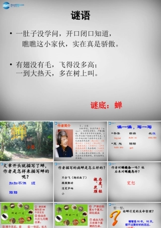 中学七年级语文上册 18(短文两篇)蝉课件 (新版)新人教版