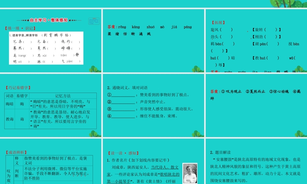 八年级语文下册 第一单元 3 安塞腰鼓习题课件 新人教版 课件