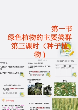 七年级生物上册 自制课件种子植物课件 济南版 课件