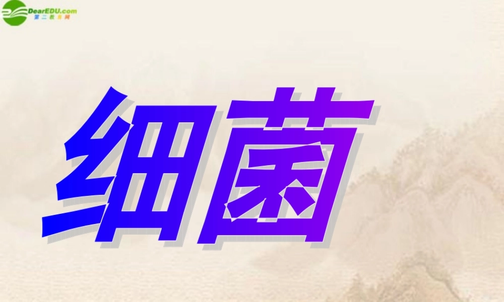 八年级生物上册 第五单元第四章第二节细菌课件 人教新课标版 课件