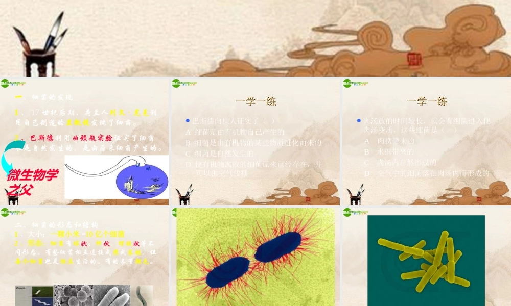 八年级生物上册 第五单元第四章第二节细菌课件 人教新课标版 课件