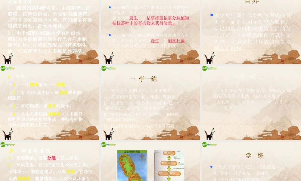 八年级生物上册 第五单元第四章第二节细菌课件 人教新课标版 课件