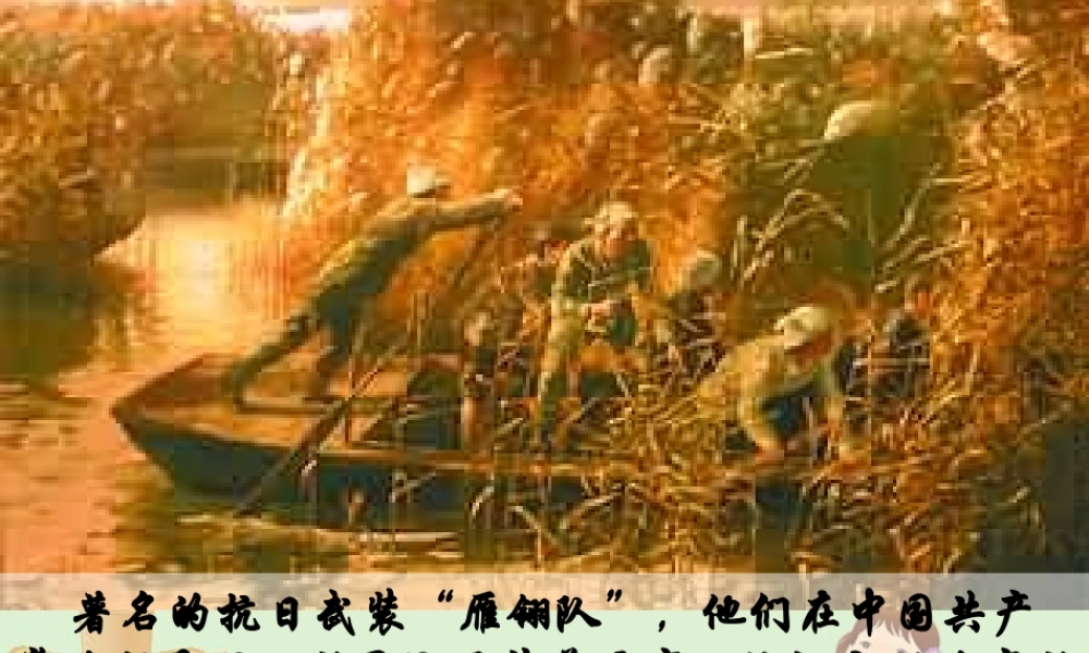 八年级语文上册 (芦花荡)教学课件 人教新课标版 课件