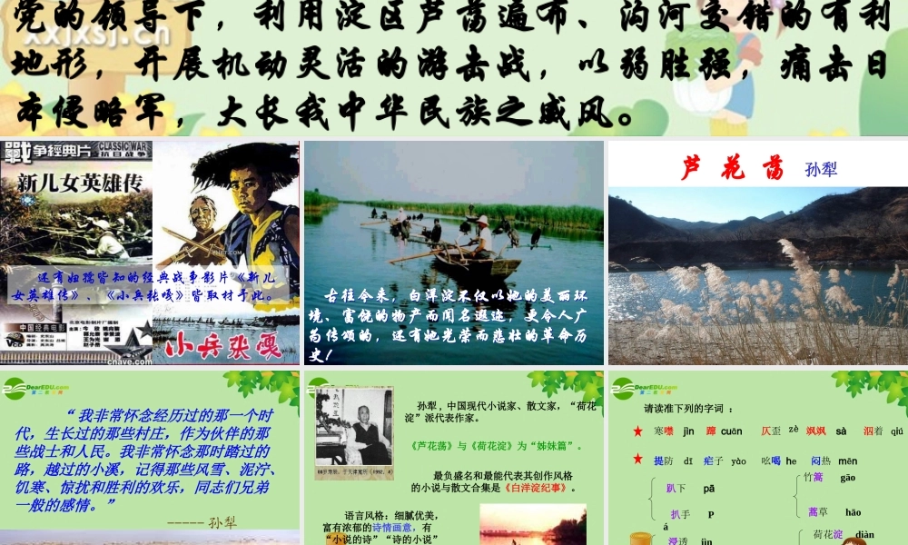 八年级语文上册 (芦花荡)教学课件 人教新课标版 课件