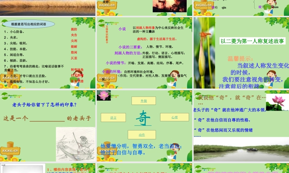 八年级语文上册 (芦花荡)教学课件 人教新课标版 课件