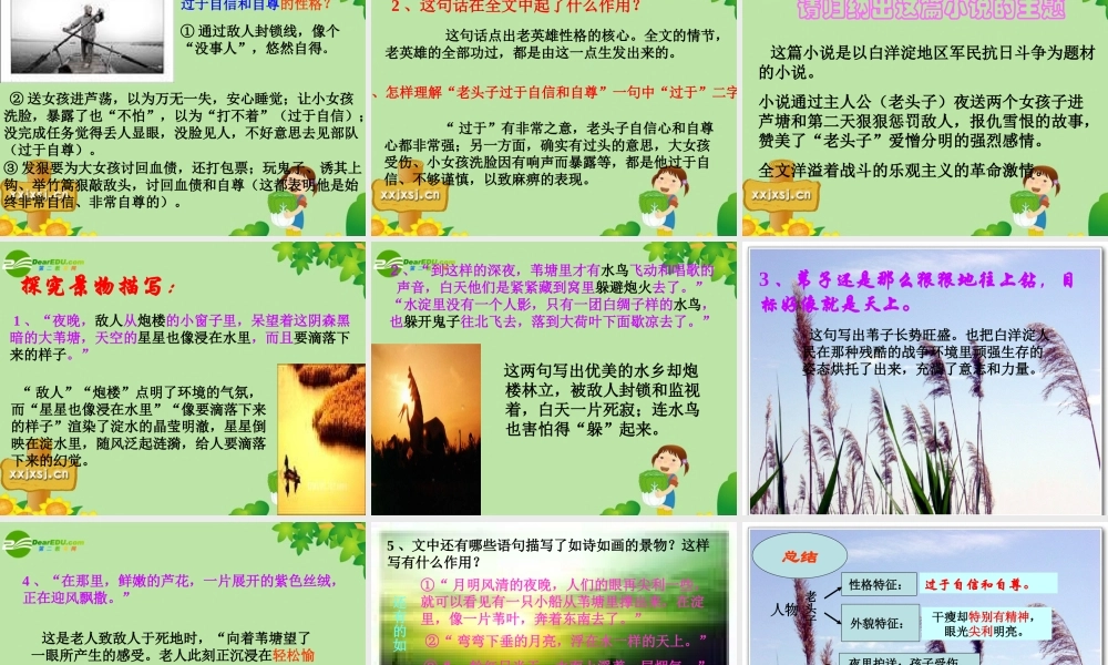 八年级语文上册 (芦花荡)教学课件 人教新课标版 课件