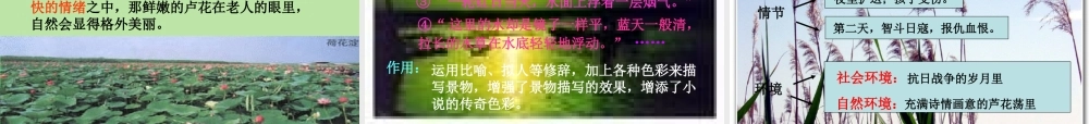 八年级语文上册 (芦花荡)教学课件 人教新课标版 课件