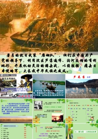 八年级语文上册 (芦花荡)教学课件 人教新课标版 课件