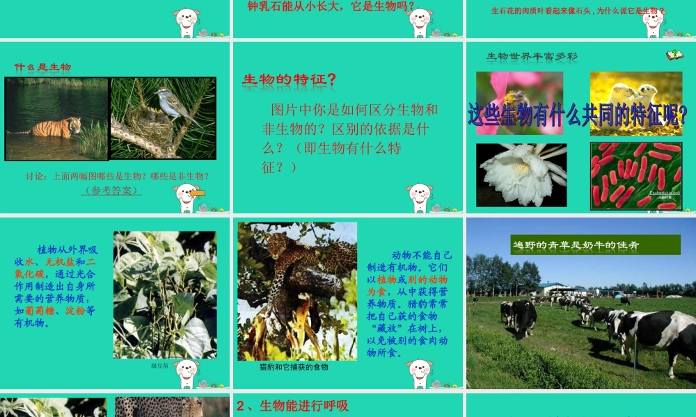七年级生物上册 1.1.1生物的特征课件 (新版)新人教版 课件