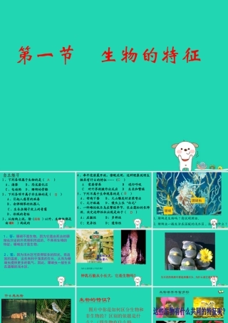七年级生物上册 1.1.1生物的特征课件 (新版)新人教版 课件