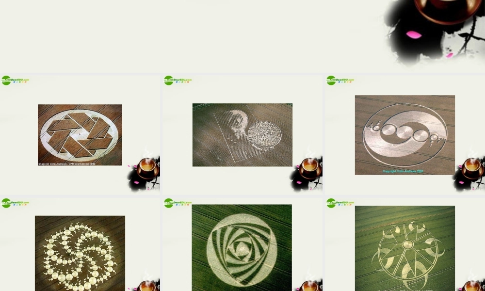 八年级语文下册(扑朔迷离的麦田怪圈)课件 鄂教版 课件