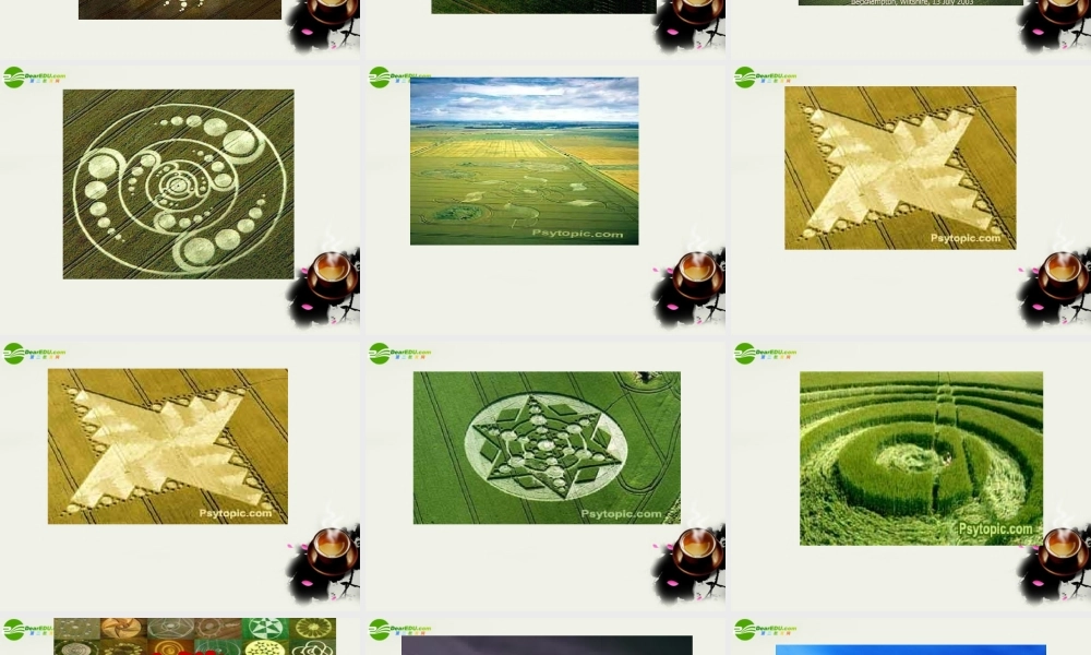 八年级语文下册(扑朔迷离的麦田怪圈)课件 鄂教版 课件