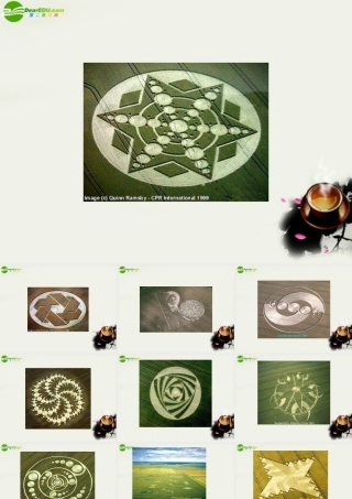 八年级语文下册(扑朔迷离的麦田怪圈)课件 鄂教版 课件